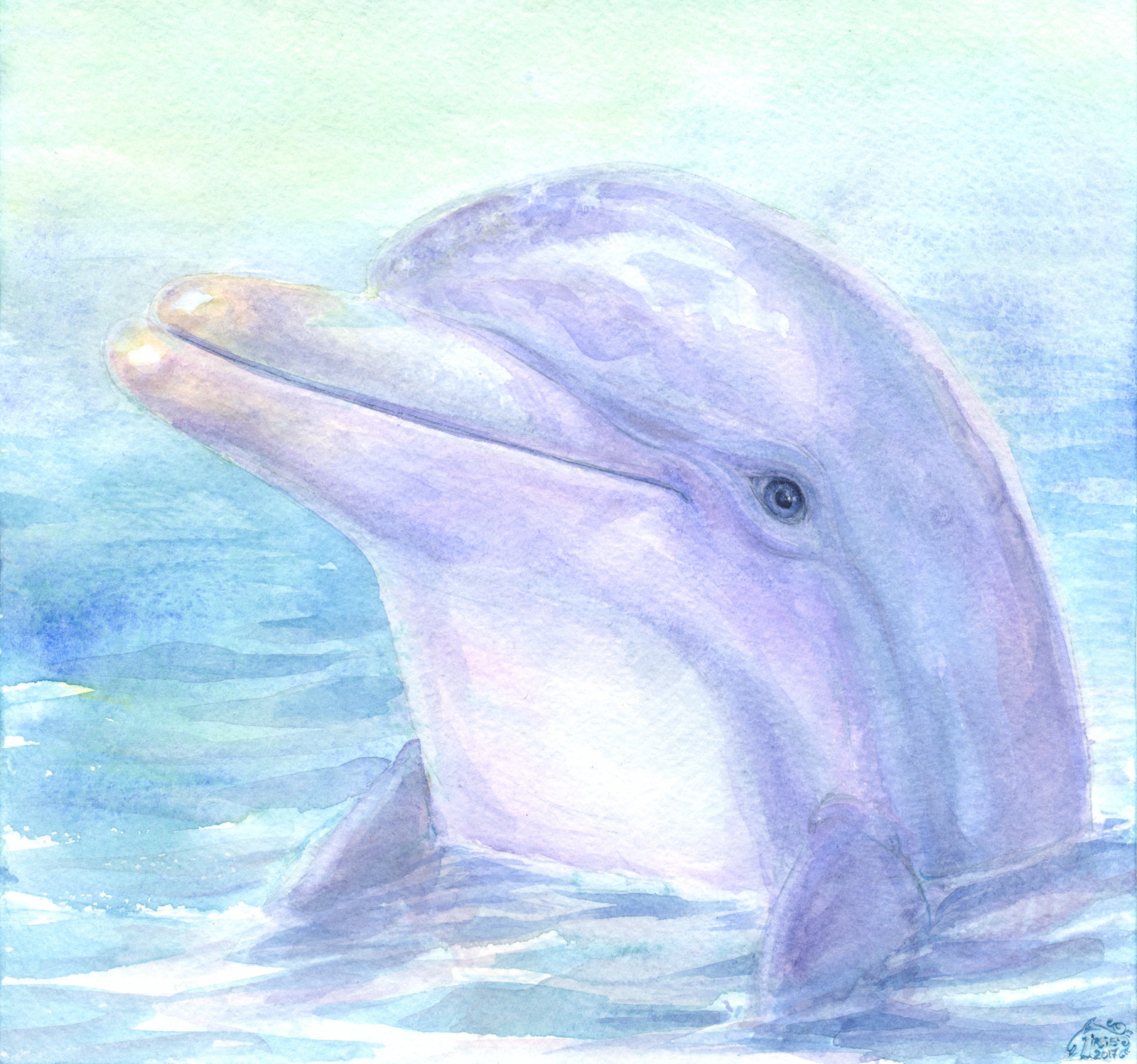 Рисунок дельфина. Ecco the Dolphin. Дельфин цветными карандашами. Портрет дельфина. Картина дельфины.